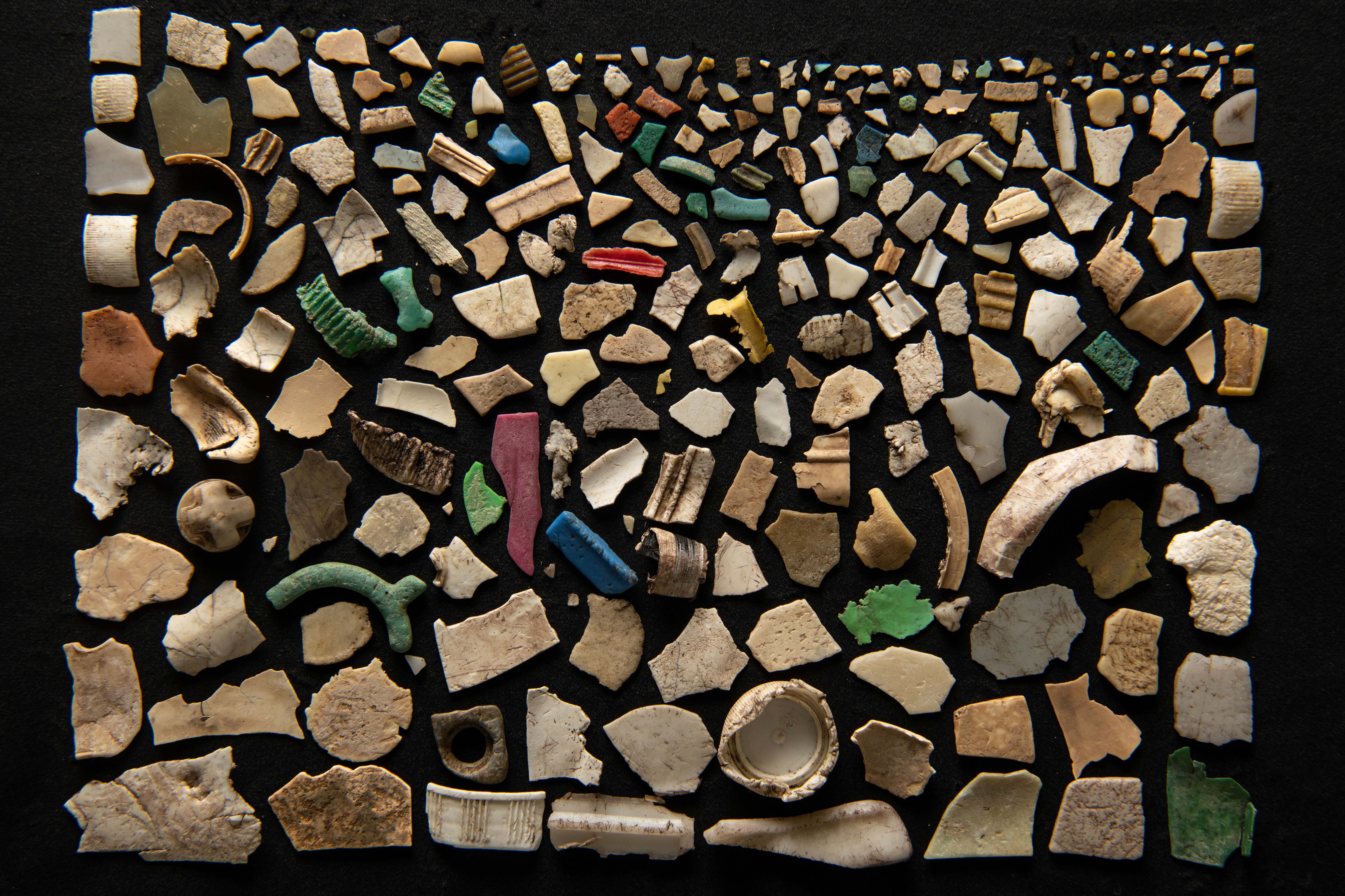 A collage of plastic pieces extracted from inside a dead sable shearwater on a black background.